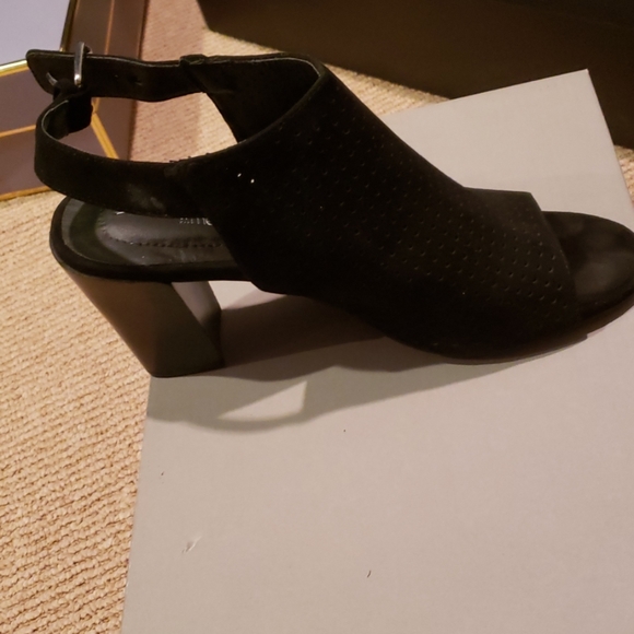 Shoea - Picture 4 of 4